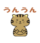 キジトラcatのスタンプ（個別スタンプ：5）