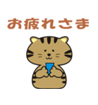 キジトラcatのスタンプ（個別スタンプ：6）