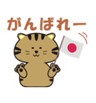 キジトラcatのスタンプ（個別スタンプ：10）