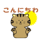 キジトラcatのスタンプ（個別スタンプ：11）