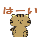 キジトラcatのスタンプ（個別スタンプ：13）