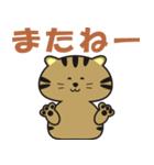 キジトラcatのスタンプ（個別スタンプ：15）