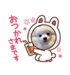 お転婆ナミ NO2（個別スタンプ：3）