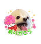 お転婆ナミ NO2（個別スタンプ：4）