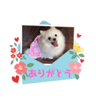 お転婆ナミ NO2（個別スタンプ：9）