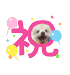 お転婆ナミ NO2（個別スタンプ：10）