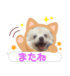 お転婆ナミ NO2（個別スタンプ：13）