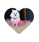 お転婆なナミ（個別スタンプ：1）