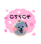 お転婆なナミ（個別スタンプ：8）