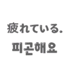 日本語と韓国語でカラフルなメッセージ（個別スタンプ：40）