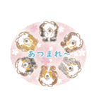 かわいいシェルティスタンプ（個別スタンプ：10）