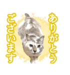 うにとつくね（個別スタンプ：3）