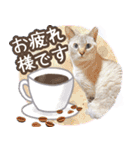 うにとつくね（個別スタンプ：4）