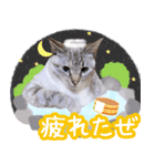 うにとつくね（個別スタンプ：15）