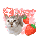 うにとつくね（個別スタンプ：18）