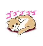 猫惑星（個別スタンプ：7）