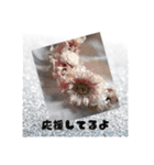 ヘタレサロン【公式】スタンプ（個別スタンプ：15）