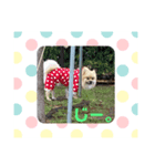 茶々丸❣️（個別スタンプ：6）