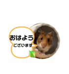 ハムハムすたんぷ❤️（個別スタンプ：4）