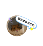 ハムハムすたんぷ❤️（個別スタンプ：7）