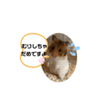 ハムハムすたんぷ❤️（個別スタンプ：8）