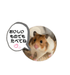 ハムハムすたんぷ❤️（個別スタンプ：9）