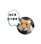 ハムハムすたんぷ❤️（個別スタンプ：12）