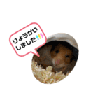 ハムハムすたんぷ❤️（個別スタンプ：14）