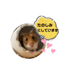 ハムハムすたんぷ❤️（個別スタンプ：15）