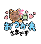 うにぃスタンプ（個別スタンプ：1）