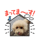 うにぃスタンプ（個別スタンプ：10）