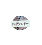 月山世良員冷尼寿kyuuマル山本デー（個別スタンプ：4）
