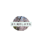 月山世良員冷尼寿kyuuマル山本デー（個別スタンプ：5）