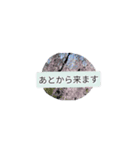 月山世良員冷尼寿kyuuマル山本デー（個別スタンプ：6）