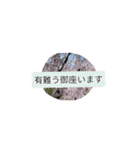 月山世良員冷尼寿kyuuマル山本デー（個別スタンプ：7）