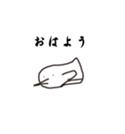 gペンペンギン（個別スタンプ：1）