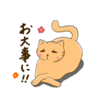 ねこたん あいさつ2（個別スタンプ：11）