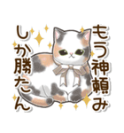 ずっと使える♡ネガティブねこスタンプ（個別スタンプ：3）