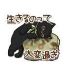 ずっと使える♡ネガティブねこスタンプ（個別スタンプ：11）