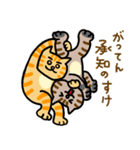 プロレス猫スタンプ（個別スタンプ：14）