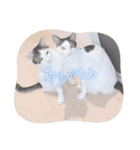 なぎちゃんと愉快な仲間たち（個別スタンプ：14）