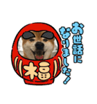 柴犬キッド今日も行く6（個別スタンプ：28）