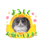 まりぃスタンプ（個別スタンプ：3）