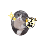 まりぃスタンプ（個別スタンプ：5）