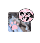 まりぃスタンプ（個別スタンプ：6）