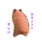 キンクマのきなこちゃんと仲間たち（個別スタンプ：4）