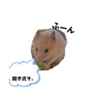 キンクマのきなこちゃんと仲間たち（個別スタンプ：20）