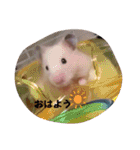キンクマのきなこちゃんと仲間たち（個別スタンプ：26）