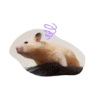 キンクマのきなこちゃんと仲間たち（個別スタンプ：30）