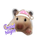 キンクマのきなこちゃんと仲間たち（個別スタンプ：31）